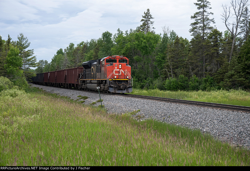 CN 8824